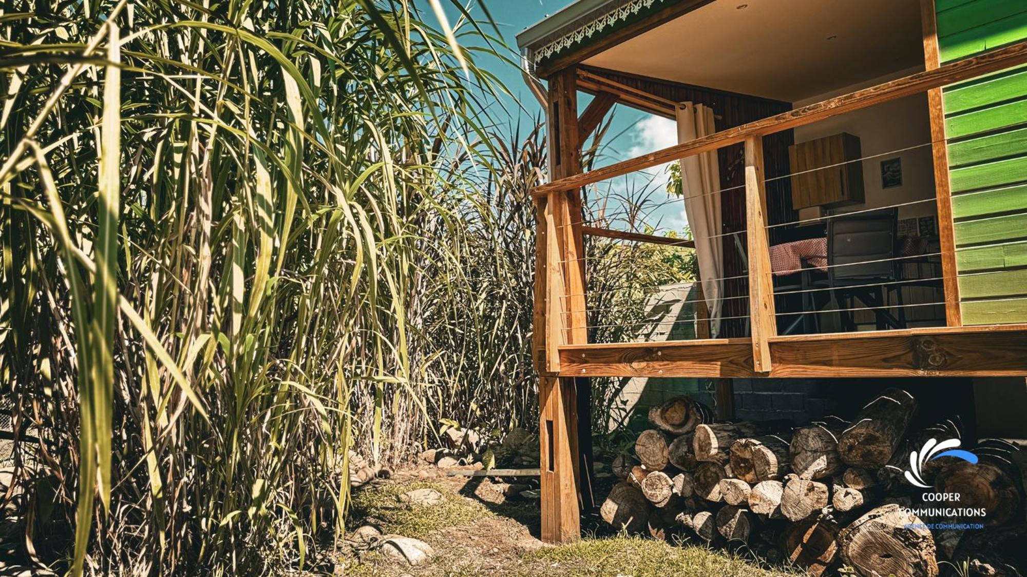 Chalet Tikaz Sandjo Noël المظهر الخارجي الصورة