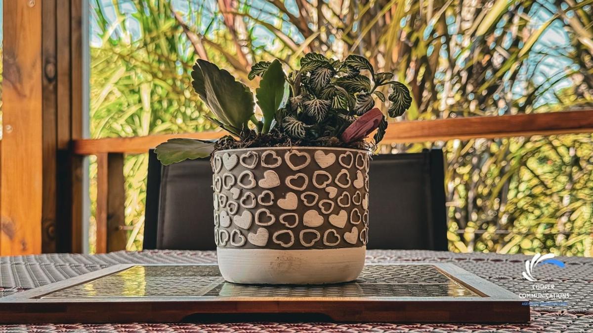 Chalet Tikaz Sandjo Noël المظهر الخارجي الصورة